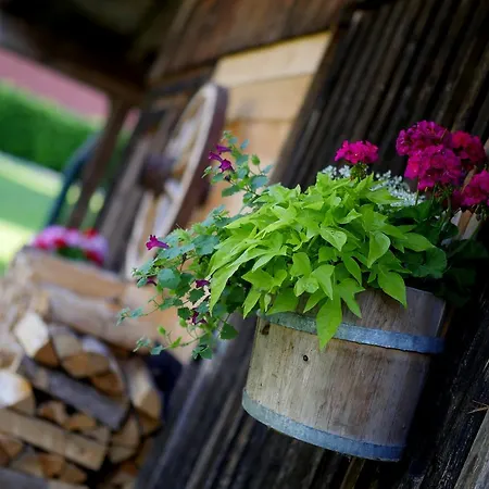 Ederfeld Apartmanhotel Mayrhofen