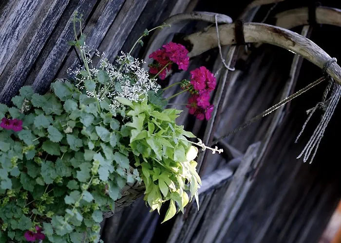 أبارتهوتل اديرفيلد 4*