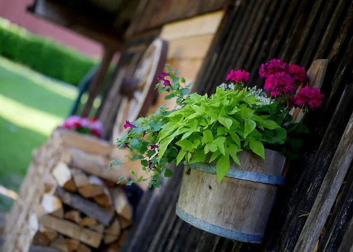 أبارتهوتل اديرفيلد شقة فندقية مايرهوفن