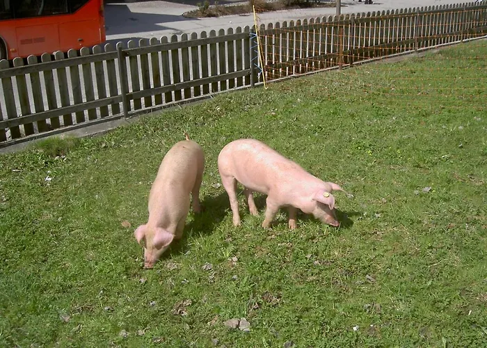 Lägenhetshotell Ederfeld Mayrhofen