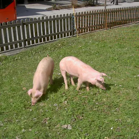 מלון דירות Ederfeld מאיירהופן